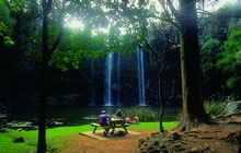 Whangarei Falls