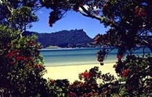 beautiful Whangarei Harbour