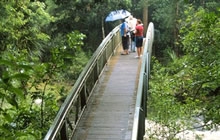 Whangarei Parks and Walkways